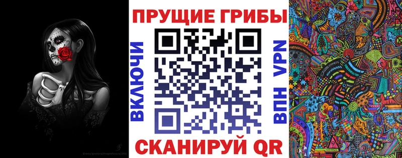 сколько стоит Арзамас Псилоцибиновые грибы прущие грибы